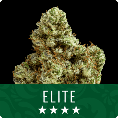 Image 1 for Blue Zushi, a indica product