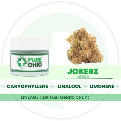 Shop Jokerz [2.83g] | Pure Ohio Wellness - Dayton Dispensary