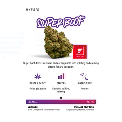 Image 2 for Super Boof, a hybrid product
