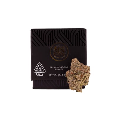 Shangri-La [3.5g] | Maven | Flower 