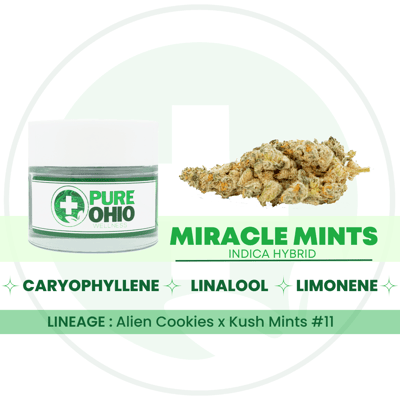 Shop Miracle Mints [2.83g] | Pure Ohio Wellness - London