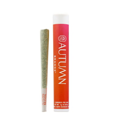 Best Weed Dispensary Store in West Hollywood - The Artist Tree Store