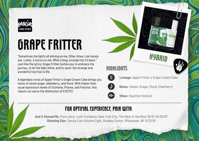 Image 2 for Grape Fritter, a hybrid product