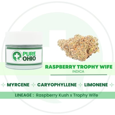 Shop Raspberry Trophy Wife [2.83g] | Pure Ohio Wellness - London