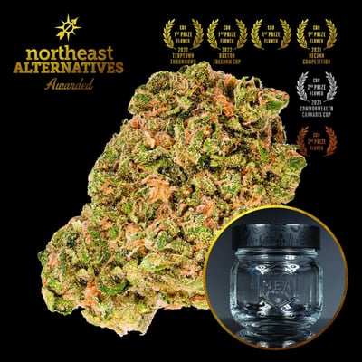 Shop Sour Tsunami | Kapha Cannabis Dispensary Lenox, MA