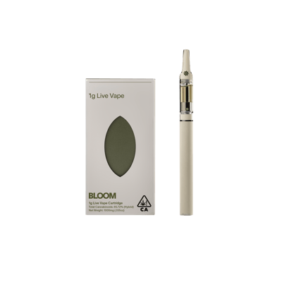 elfbar nachfüll pod läuft aus E-cigarette trend growing main image 1