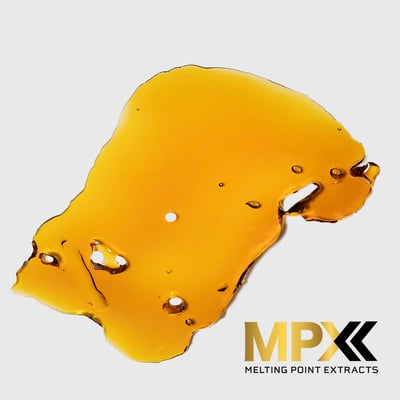 Image 1 for Shaved Monkey, a hybrid product