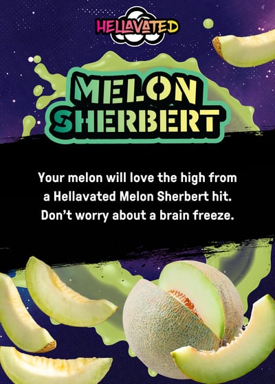 Image 2 for Melon Sherbert [1g], a hybrid product