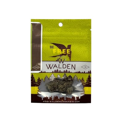 Shop Alien Tangie | Dockside Cannabis - SODO Dispensary Seattle, WA