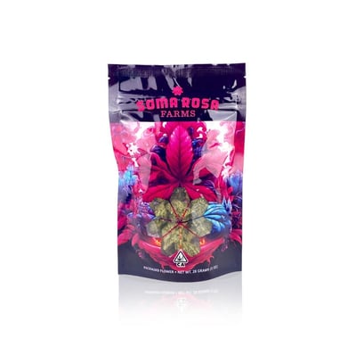 【美品】Al.divino x Mr. Rose – Hammerabi 美品】Al.divino x Mr. Rose – Hammerabi