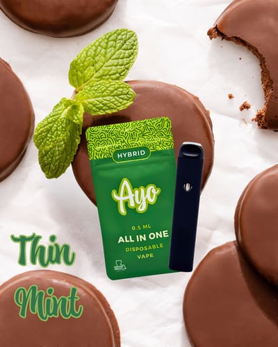 ayo all in one disposable vape Disposable Vape main image 1