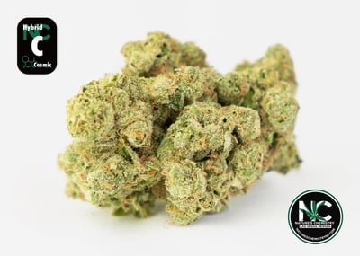 Shop Blue Hash Plant | Cultivate Dispensary - Las Vegas Las Vegas, NV