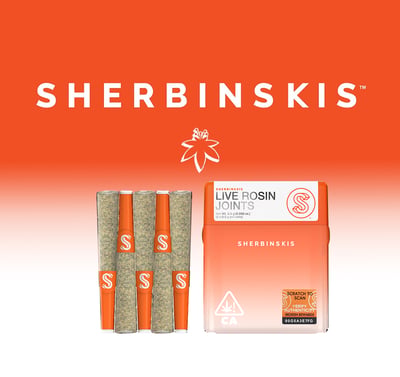 in house disposable vape reviews The Chokehold - Robust - 0.5g Live Rosin Disposable Vape Pen | Shangri-La