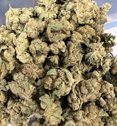 Shop GMO x Sky OG | Peake ReLeaf - AU Dispensary Rockville, MD