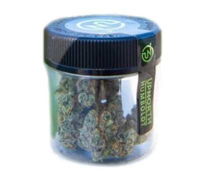 Cheetah Piss | UpNorth Humboldt | Premium - in Half Moon Bay