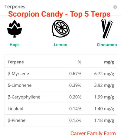Image 5 for Scorpion Candy, a hybrid product Image 5 for Scorpion Candy, a hybrid product