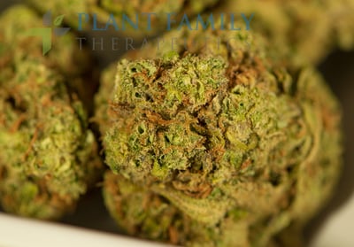 Shop Lemon Berry Candy OG | Plant Family Therapeutics Dispensary