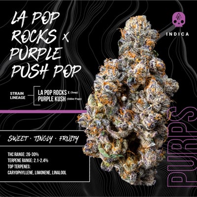 Shop LA Pop Rocks x Purple Push Pop | Oakfruitland - San Francisco