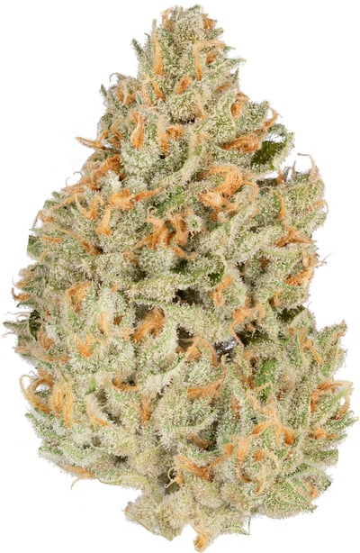 【Hybrid】Green Crack 1ml CBD 01 Green Crack | Heirbloom | Legacy