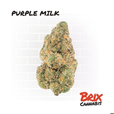 Shop Brix Cannabis Whole Flower Purple Milk (I) 00127 | Budr