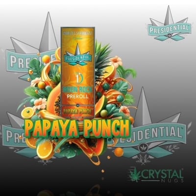 Shop Presidential RX - Papaya Punch - [1g] Sativa | Crystal Nugs Dispensary  Sacramento, CA