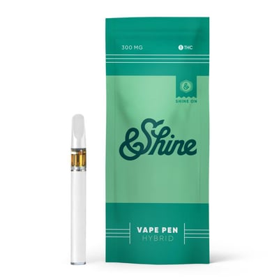 elfbar nachfüll pod läuft aus 120ml e liquid
