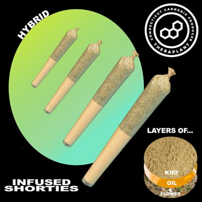 b&h tobacco Shop Sunday Flo BH Infused Shorties 4551 | Budr
