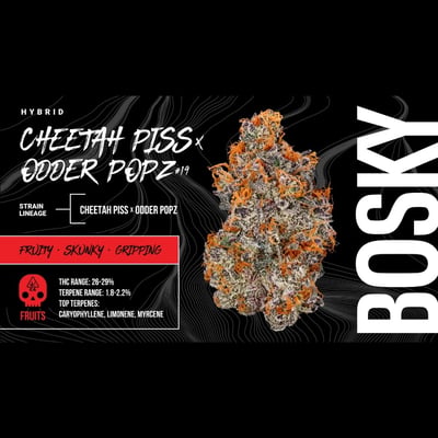 Best Weed Dispensary in Los Angeles (Koreatown) - Visit The Artist
