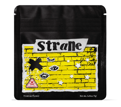 SASSAFRAS ササフラス GARDEN CRUISER BUD イカット SASSAFRAS ササフラス GARDEN CRUISER BUD イカット SASSAFRAS