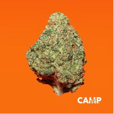 Shop 007 Up | Cultivate Dispensary - Durango Las Vegas, NV