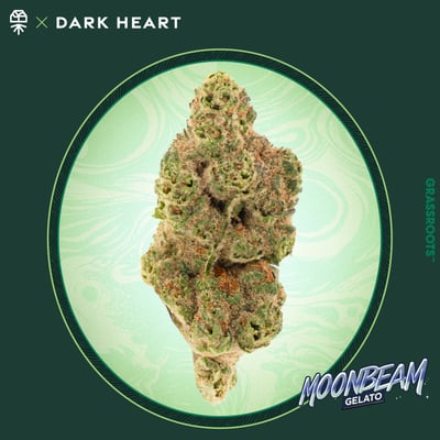 Image 1 for Moon Beam Gelato, a hybrid product