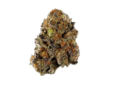 weed LCG x Z x AM | Herbarium