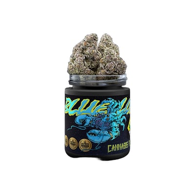 【blueberry】H.I.P by SOLIDO × LEADER Shop Blue Lobster | Dockside Cannabis - SODO Dispensary Seattle, WA