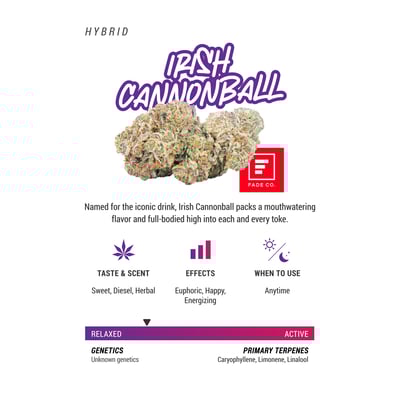 Image 2 for Irish Cannonball, a hybrid product