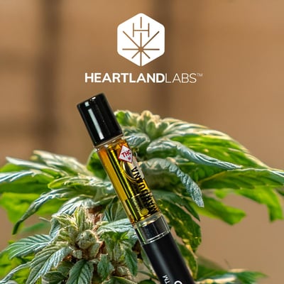 elf bar vape uk CBD Vape Delta-8 THC Watermelon Gorilla Glue Vape Pen