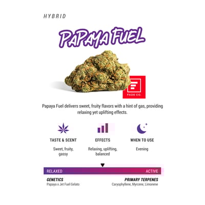 Image 2 for Papaya Fuel, a hybrid product