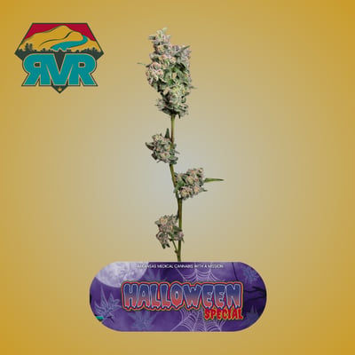 Shop Halloween Special | Purspirit Cannabis Co. Dispensary
