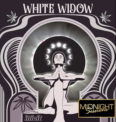リニューアル濃度up⭐︎CRDP 1ml White Widow Shop White Widow | Cassville Dispensary (Rec) Cassville, MO