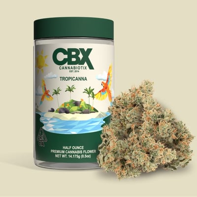 Best Weed Dispensary in Los Angeles (Koreatown) - Visit The Artist