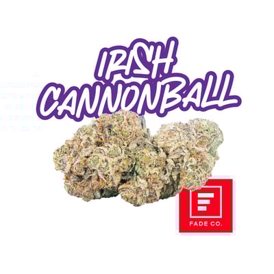 Image 1 for Irish Cannonball, a hybrid product