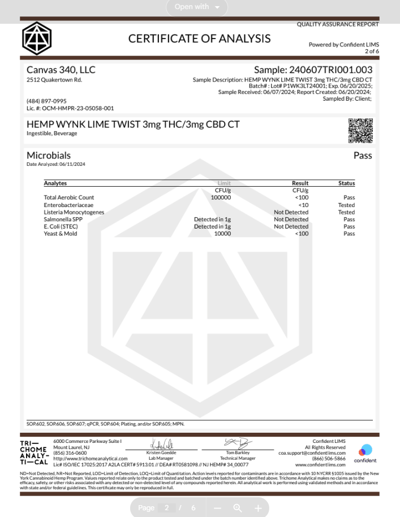 Shop WYNK Lime Twist Hemp-Derived Beverage (3mg THC / 3mg CBD