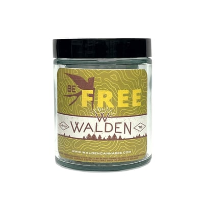 WEEDページ Tangie 300ml Tangie Strain | THCa Flower | Mood