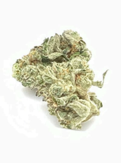 Shop Ko'Zeto Flower T24.38 H 00193 | Budr - West Hartford