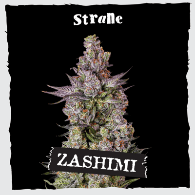 ★金魚草⑫〜⑳★ Shop Zashimi | Medical Cannabis