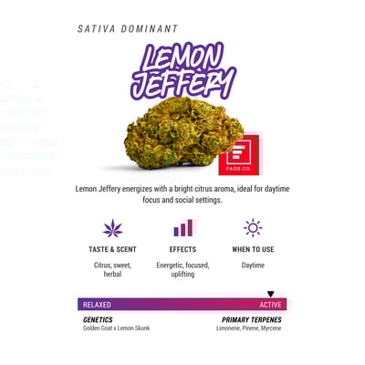 Image 2 for Lemon Jeffery, a sativa product