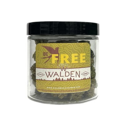 Shop Alien Tangie | Dockside Cannabis - SODO Dispensary Seattle, WA