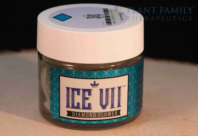 Shop Citrus Rush x Lilac Diesel - Ice VII | Plant Family