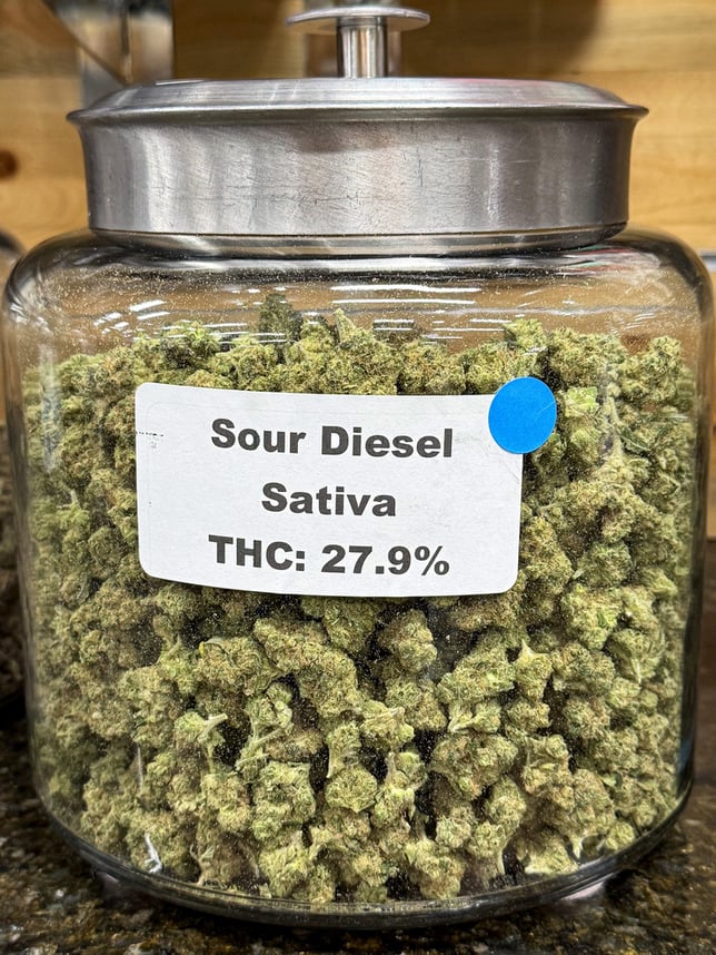 Sour Diesel - Sativa - Rare Dankness - Bulk Flower - Image 1 Sour Diesel - Sativa - Rare Dankness - Bulk Flower - Image 1