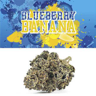 Blueberry Banana - Image 1