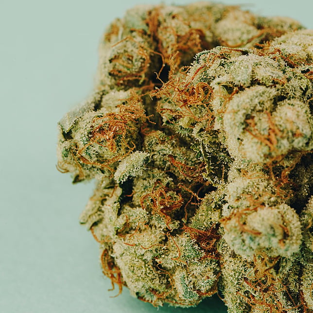 SFV OG - Image 2 SFV OG - Image 2